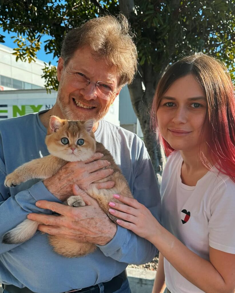Reviews the day harley bear 🐻 golden shaded #ny11 #britishshorthair boy met his parents 🩷thank you don (1)